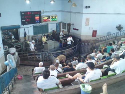 描述: 描述: 照片98